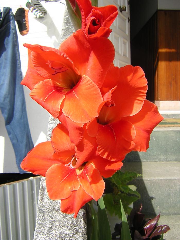 DSCN4944.jpg