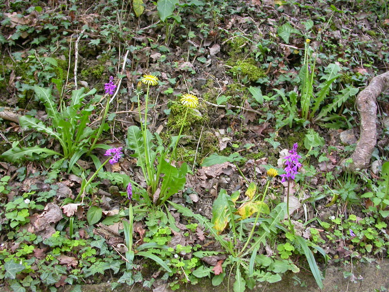 DSCN49852.jpg