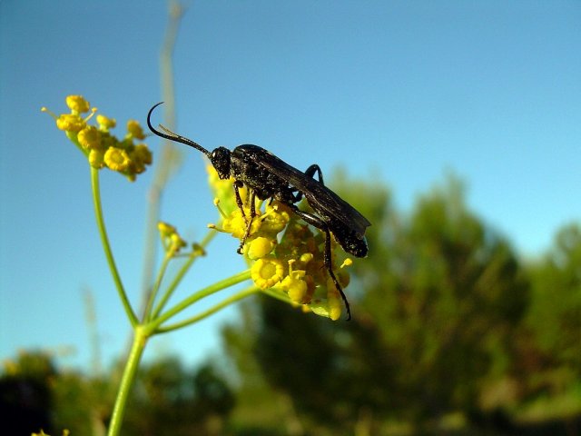 DSCN5049-r.jpg