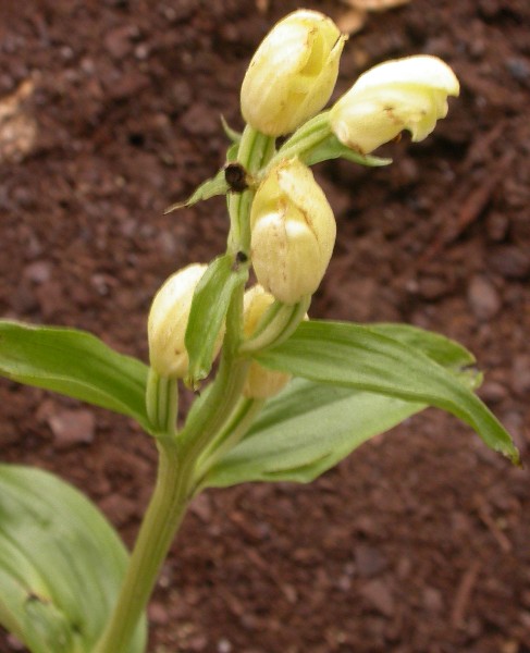DSCN50662.JPG