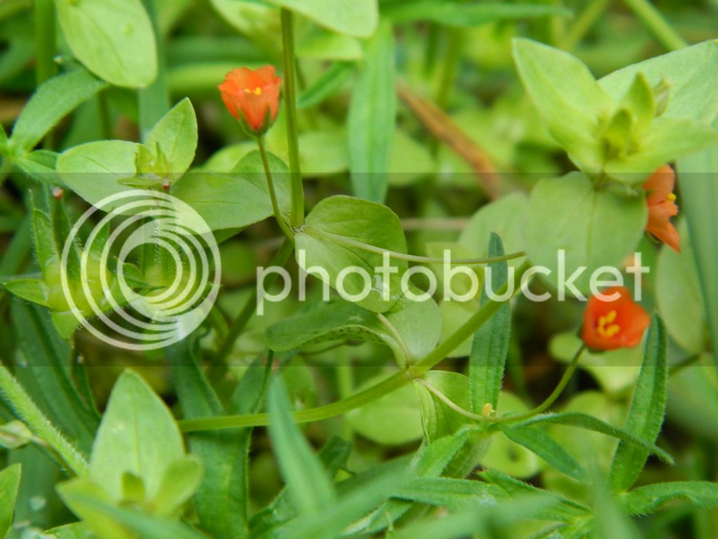 DSCN5078.jpg