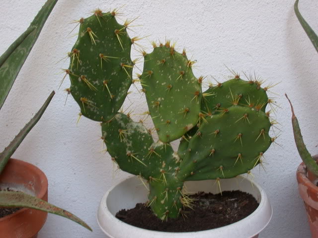DSCN5112-1.jpg