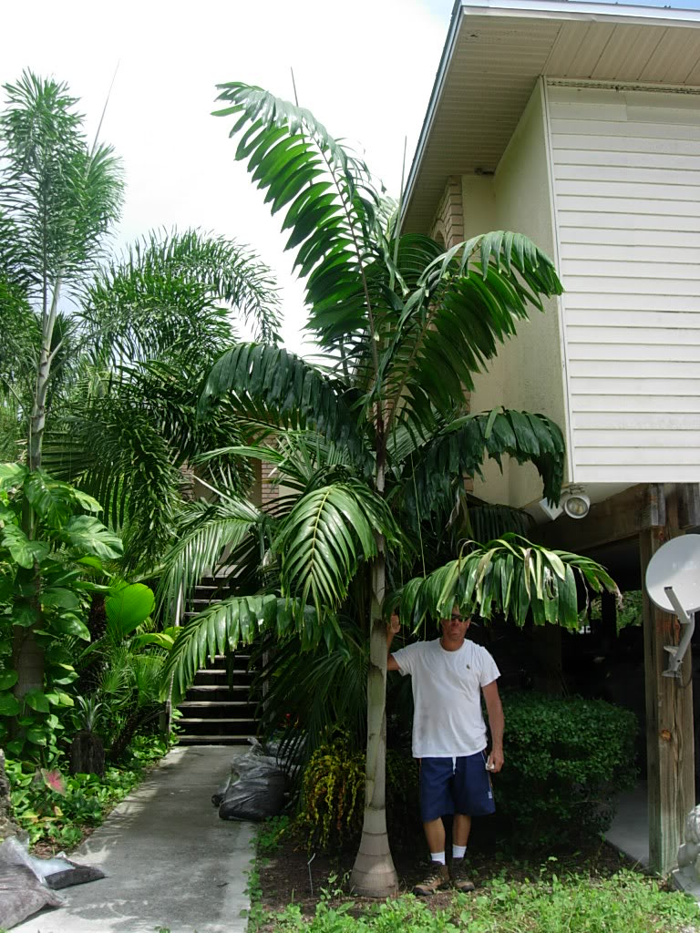 DSCN5126.jpg