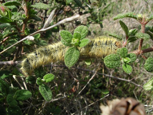 DSCN5194.jpg