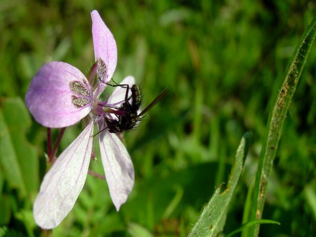 DSCN5214-1.jpg