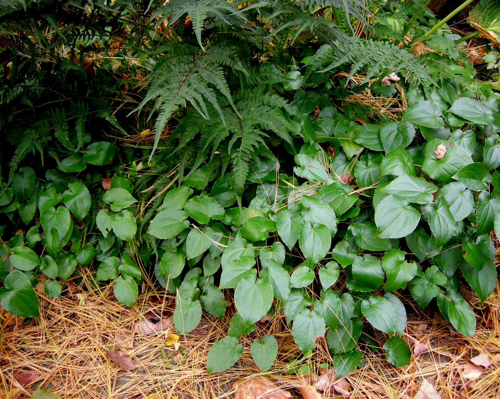 dscn5307.jpg