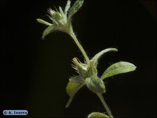 DSCN5415a.jpg