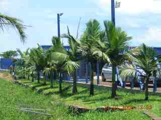 DSCN5594ch.jpg