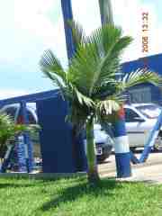 DSCN5595ch.jpg