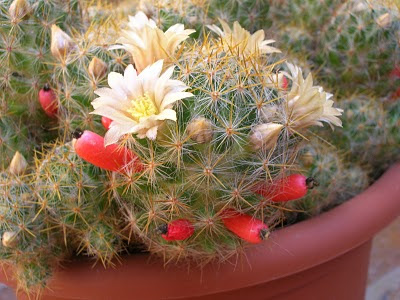 DSCN5848.JPG
