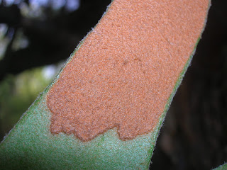 DSCN5971.JPG