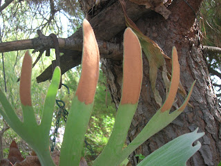 DSCN5976.JPG