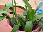 DSCN5988.JPG