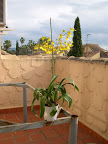 DSCN5990.JPG