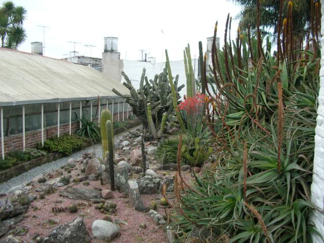 DSCN6380.jpg