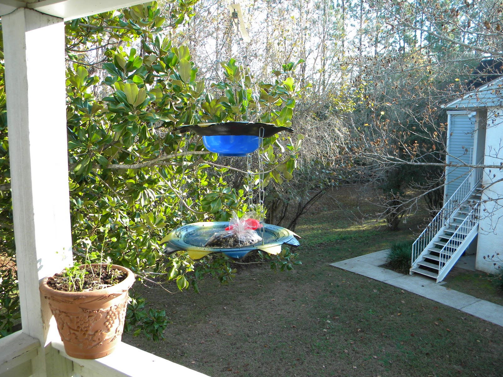 DSCN6438.JPG