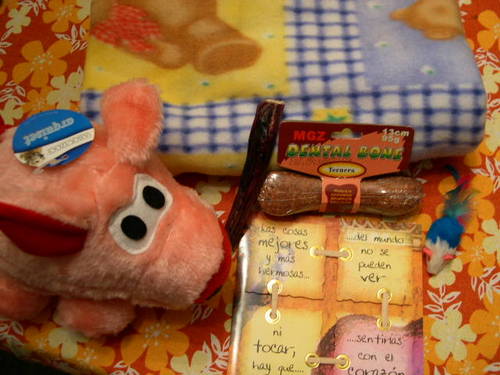 DSCN6603.JPG