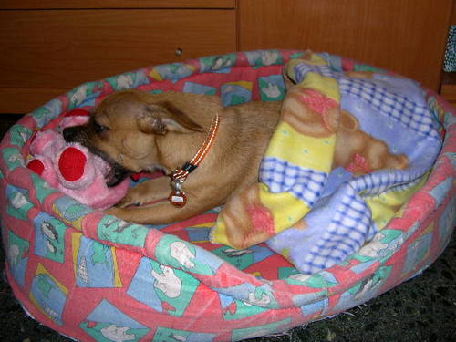 DSCN6610.JPG