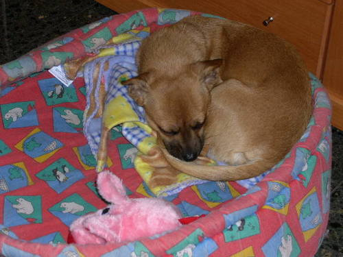 DSCN6625.JPG