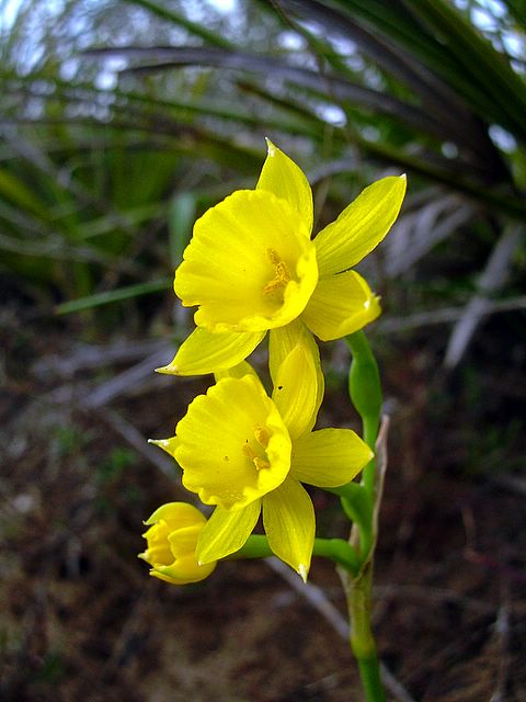 DSCN7152.JPG
