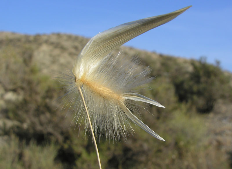 DSCN7294.jpg