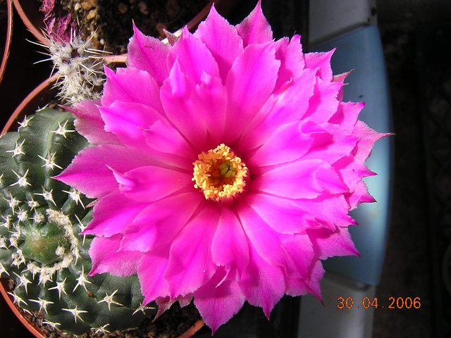 DSCN7494.JPG