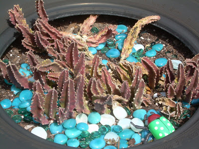 DSCN7726.JPG
