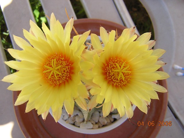 DSCN7735.JPG