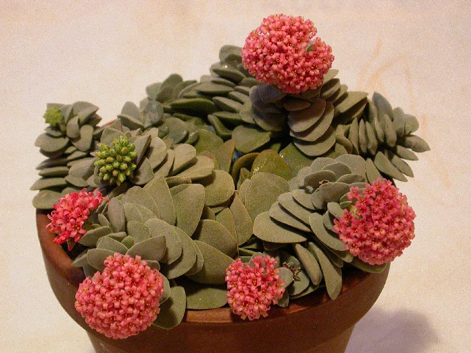 DSCN7886.JPG