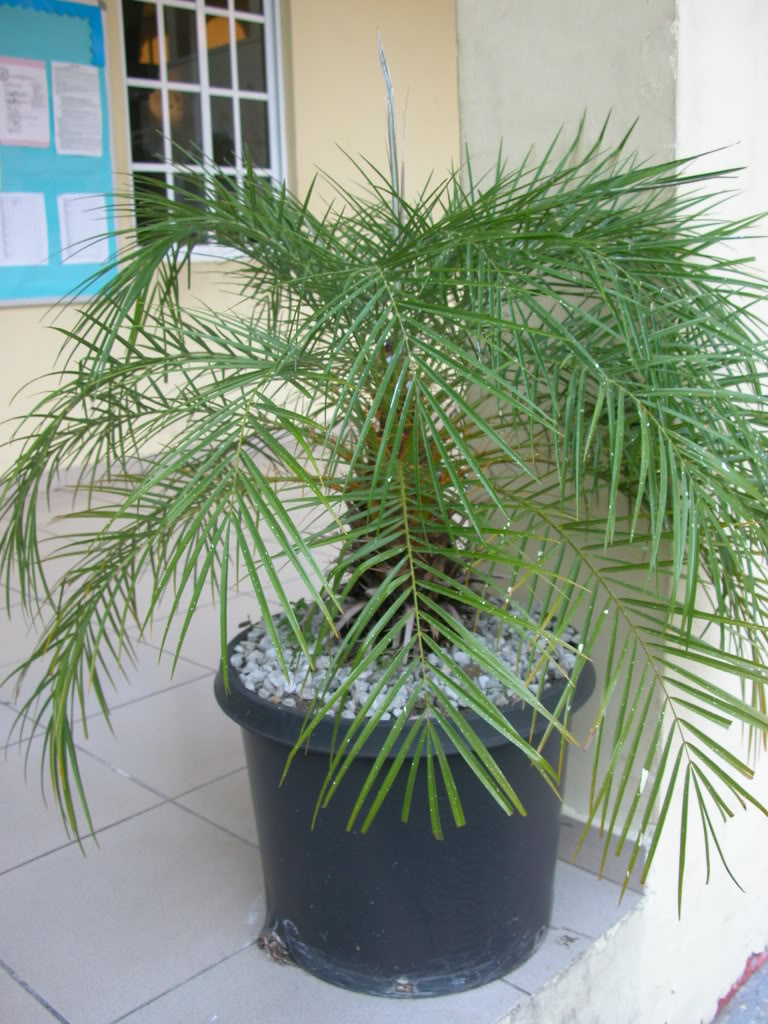 DSCN8002.jpg