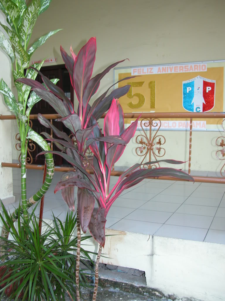 DSCN8004.jpg