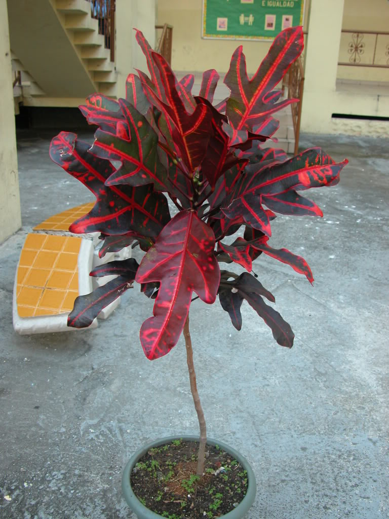 DSCN8014.jpg