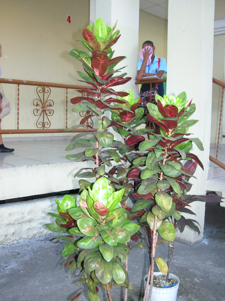 DSCN8015.jpg