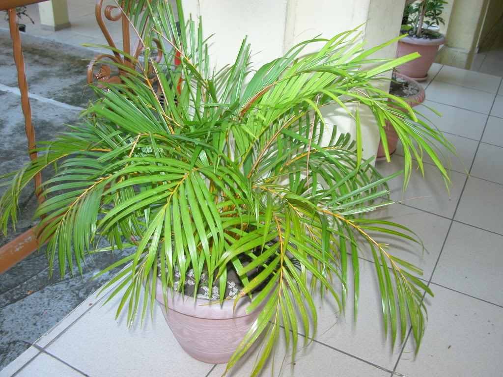 DSCN8017.jpg