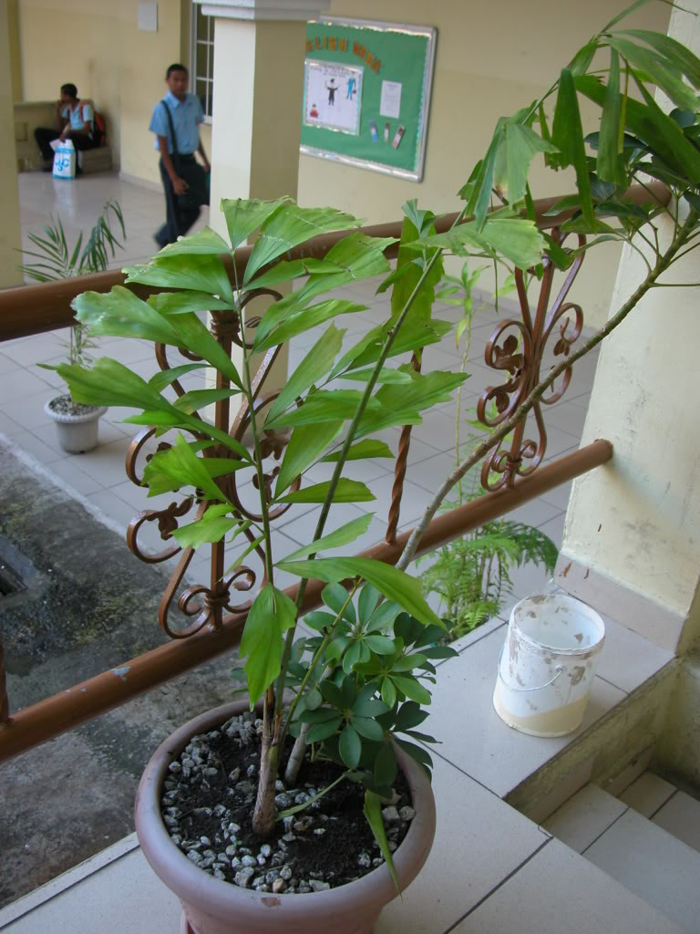 DSCN8018.jpg