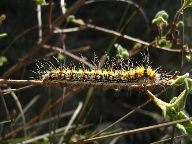 DSCN8041.jpg