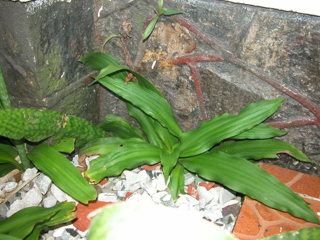DSCN8059.jpg