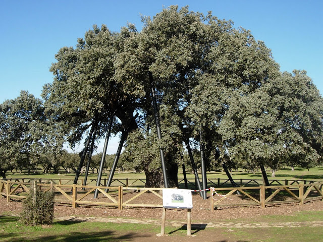 DSCN8082.JPG