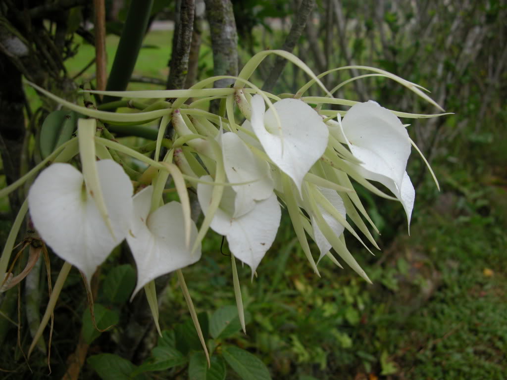 DSCN8168.jpg
