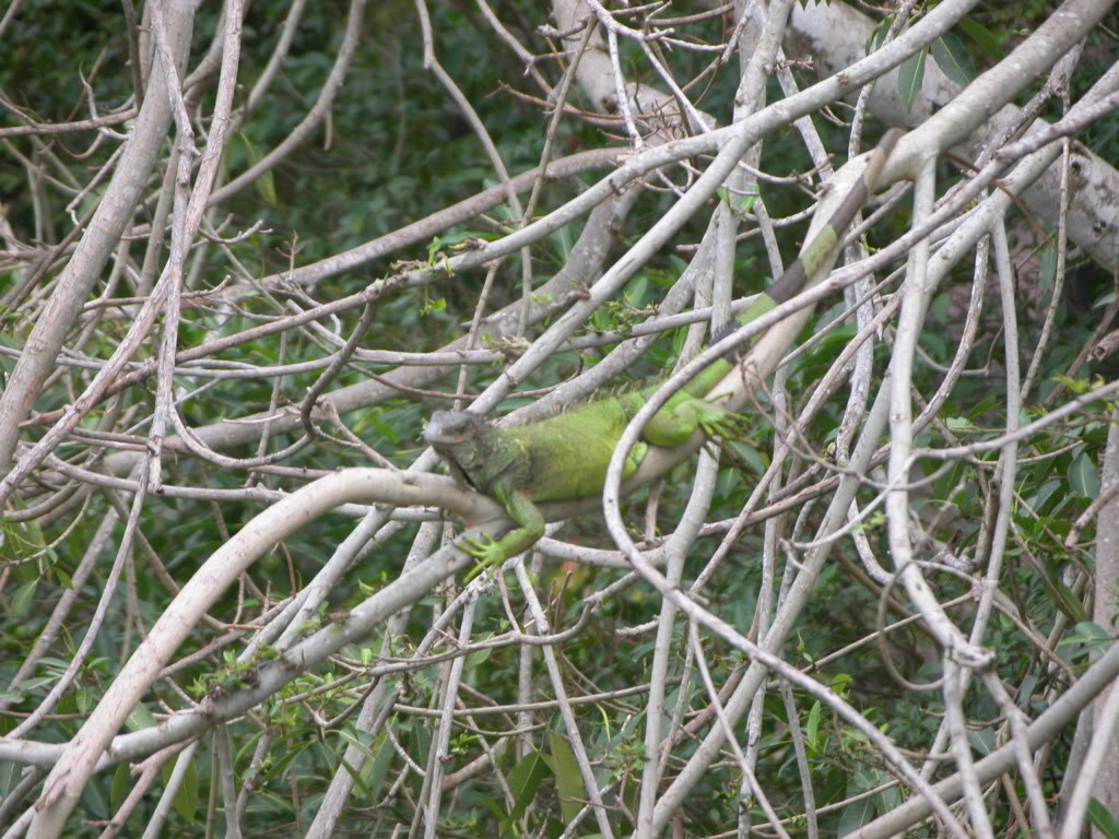 DSCN8267.jpg