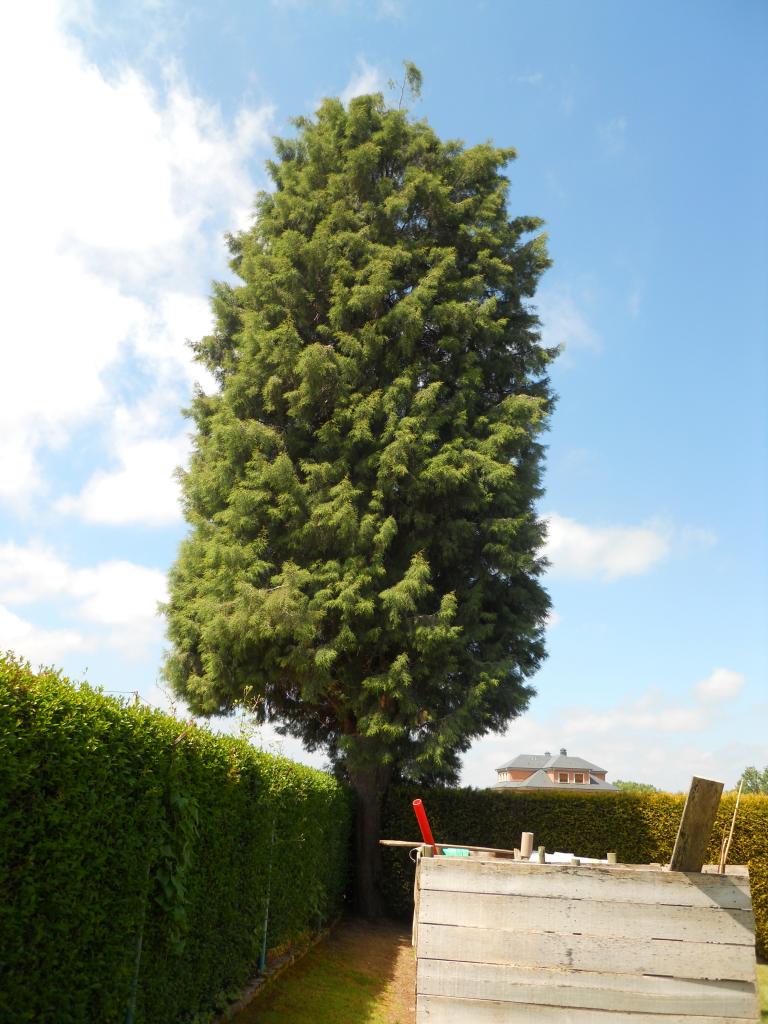 DSCN8474.jpg