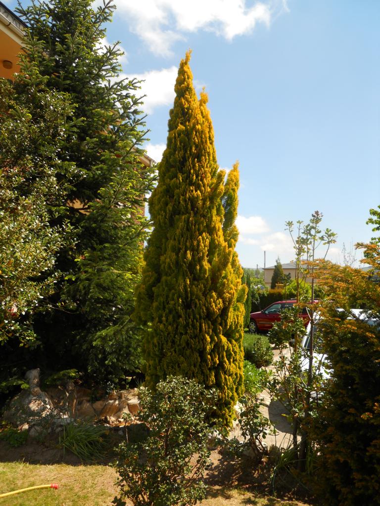 DSCN8483.jpg