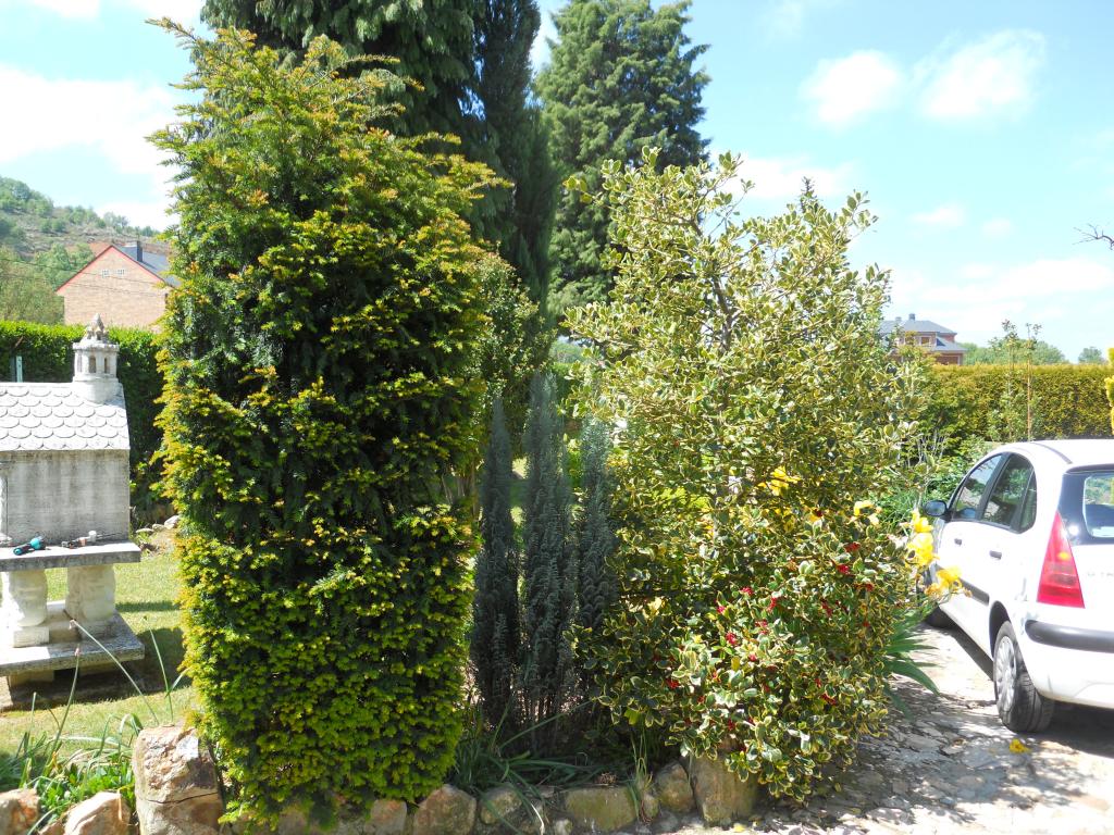 DSCN8486.jpg