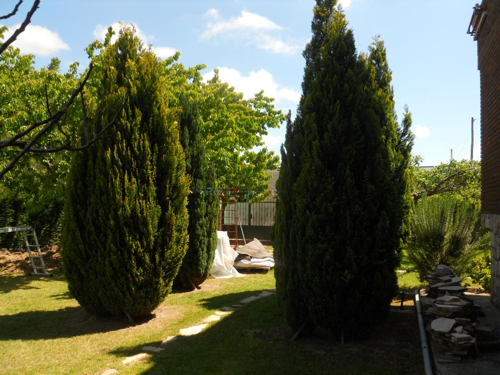 DSCN8488.jpg