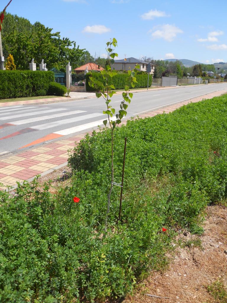 DSCN8495.jpg