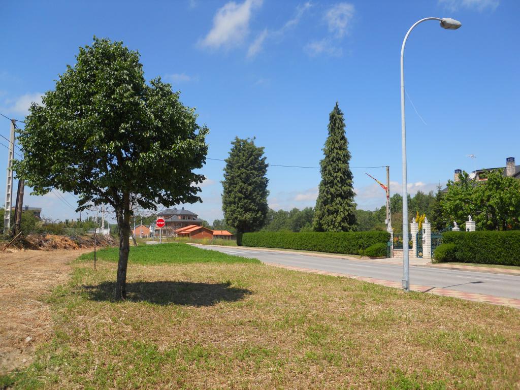 DSCN8498.jpg