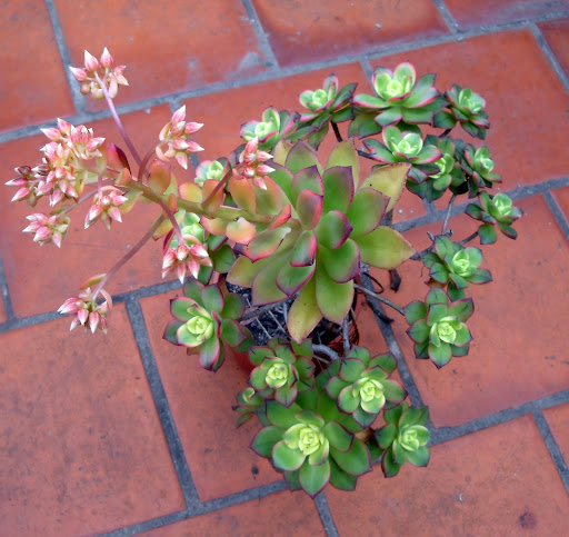 DSCN8712.JPG
