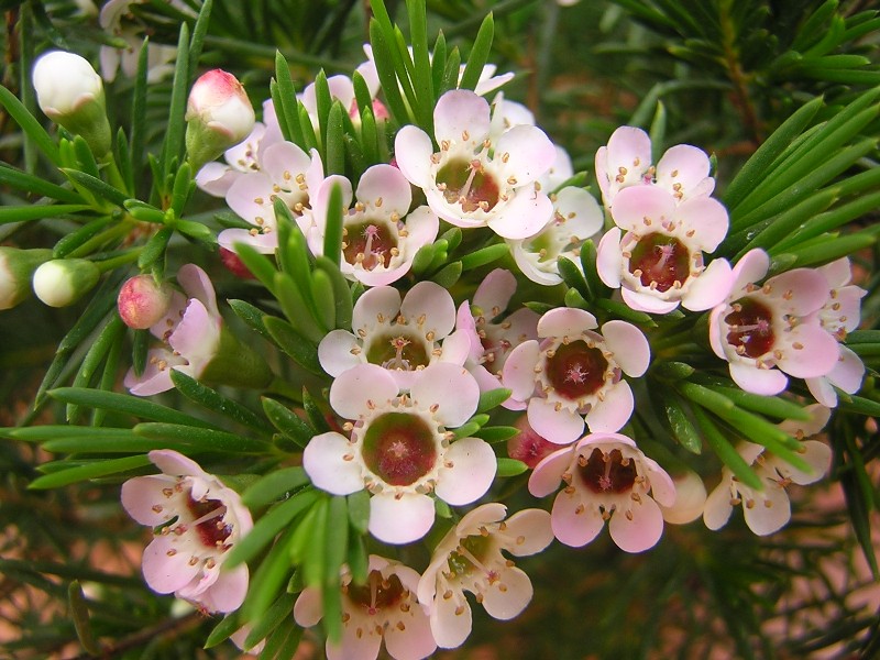 DSCN8821.JPG