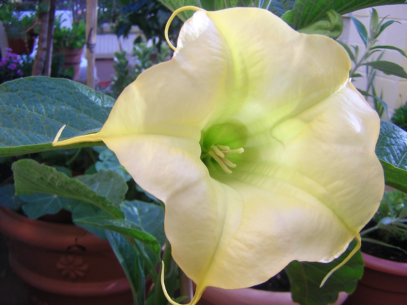 DSCN8956.JPG
