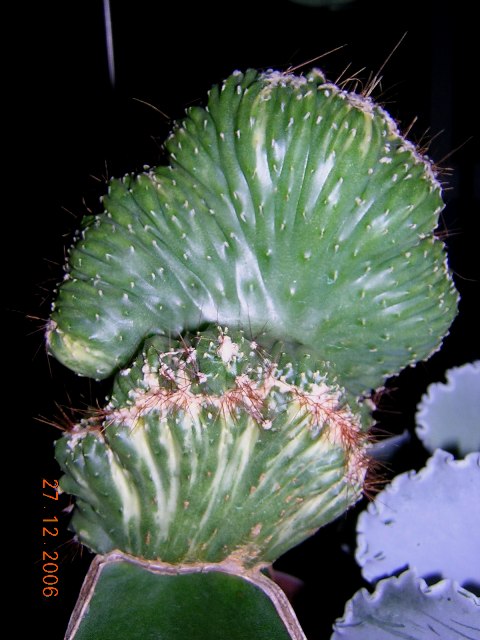 DSCN9029.JPG